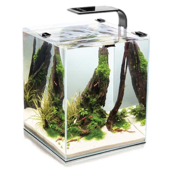 Aquael Komplett Akvarium Shirmp D And N 19l Svart