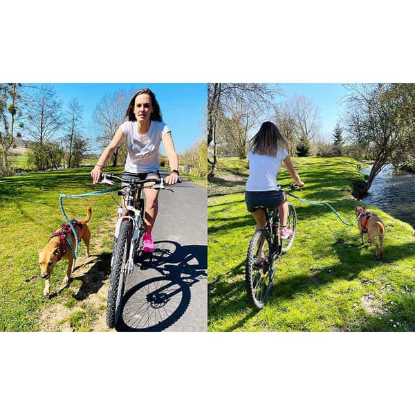 I-dog Bar Canivtt Link Silver 50 cm