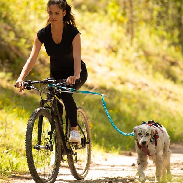 I-dog Bar Canivtt Link Silver 50 cm