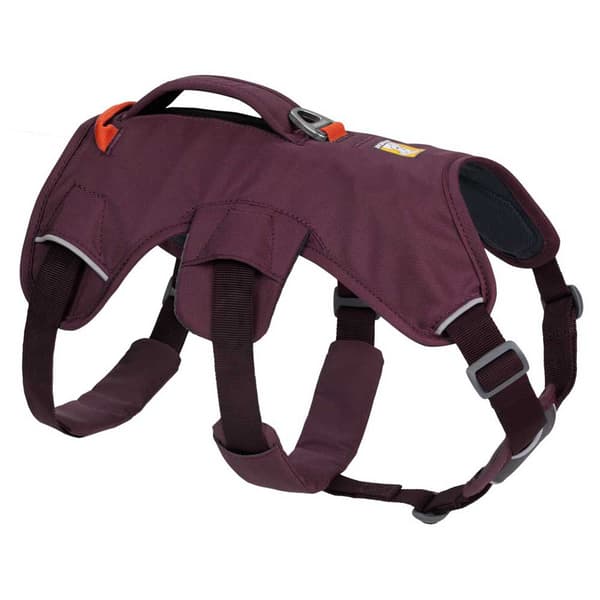 Ruffwear Sele Web Master Lila L-XL