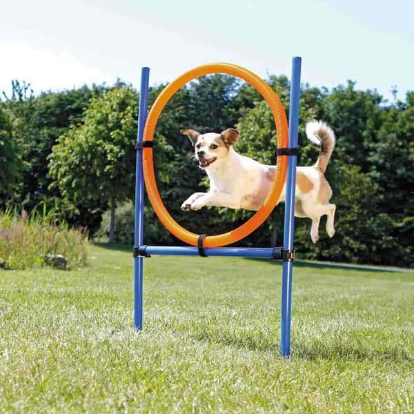 Trixie Hoop For Agility Hopeinen 115 × ø 3 cm