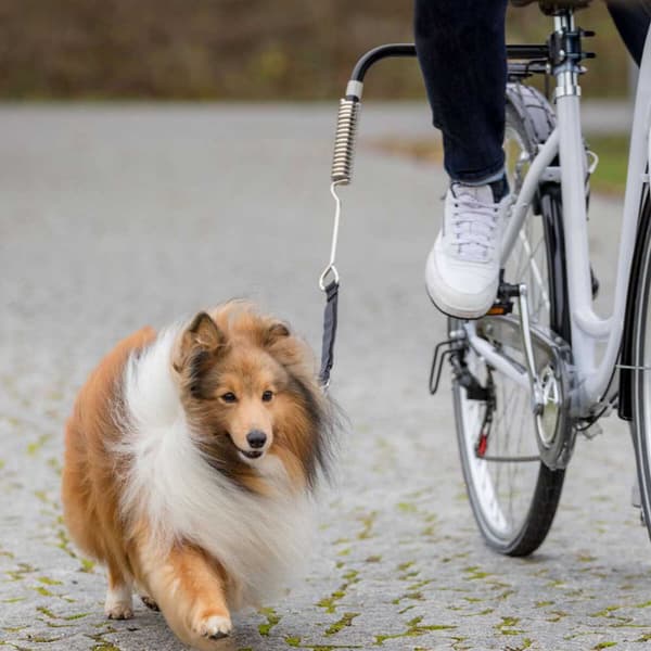 Trixie Cykel Set Med Stötfjäder Luxe Silver