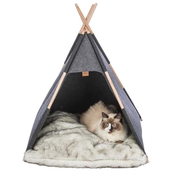 Trixie Grotta För Hundar Tipi Guld 70 × 70 × 70 cm