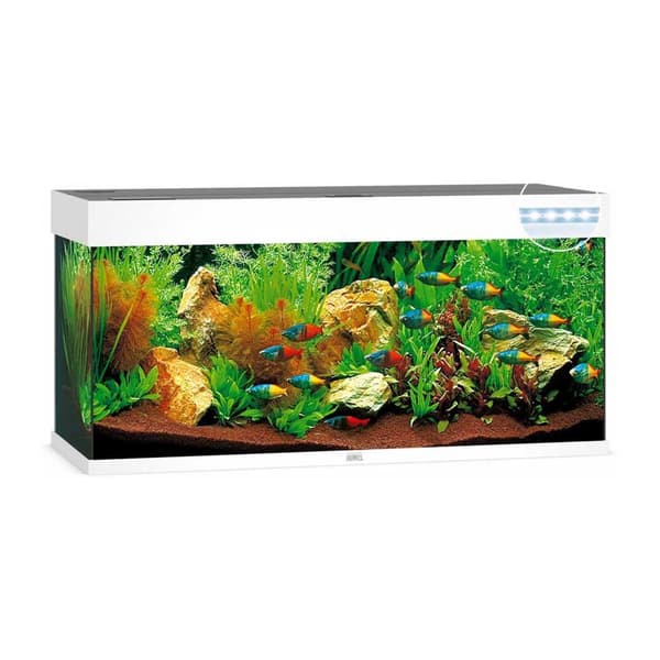 Juwel Akvarium Rio Led 240 Søvfarvet