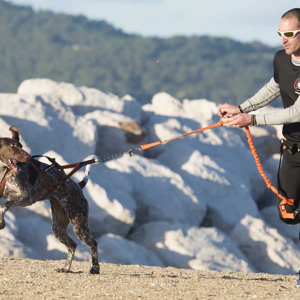 I-dog Seletøj Harnais Canicross Orange L