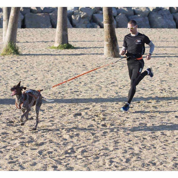 I-dog Seletøj Harnais Canicross Orange L