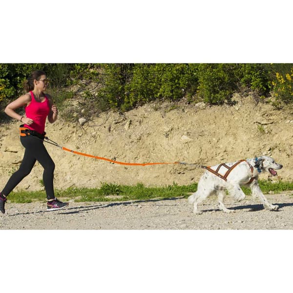 I-dog Seletøj Harnais Canicross Orange L