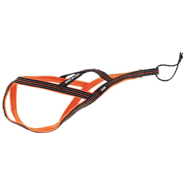 I-dog Seletøj Harnais Canicross Orange L