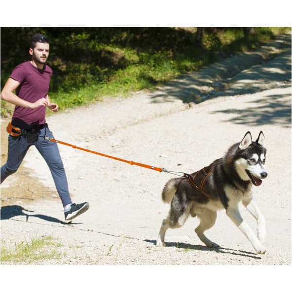 I-dog Seletøj Harnais Canicross Orange M