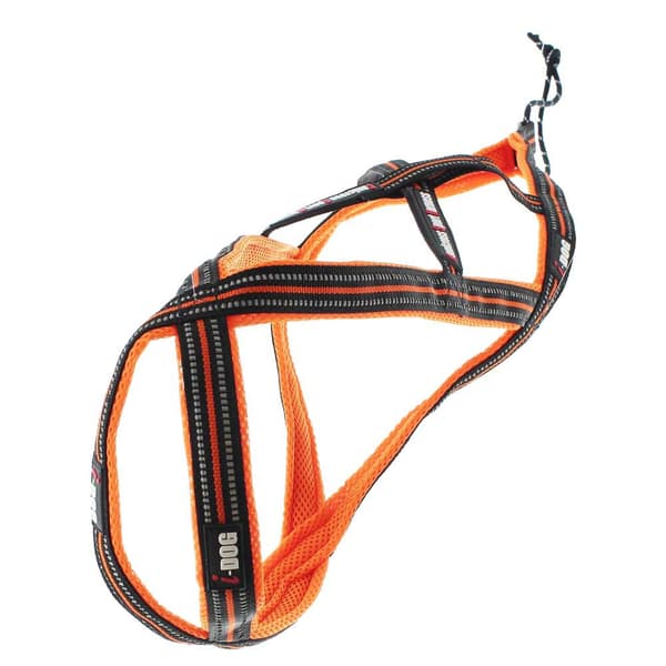 I-dog Seletøj Harnais Canicross Orange M