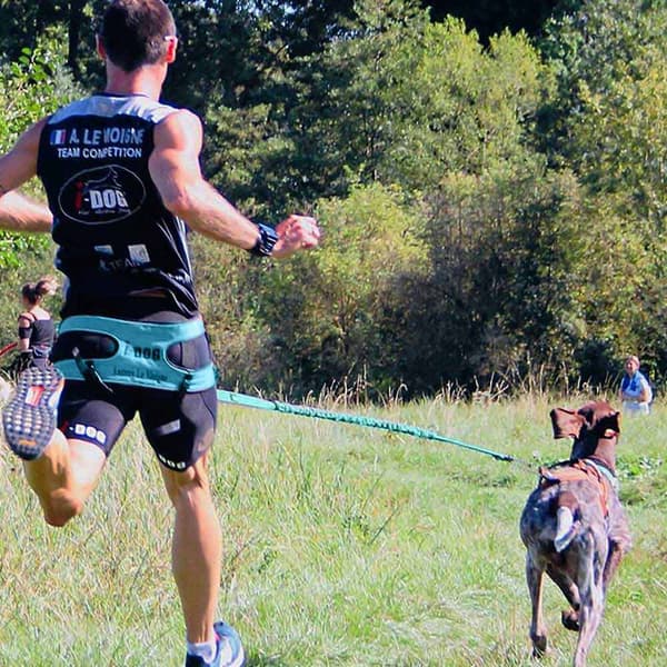 I-dog Sele Canicross Canyon Alm Blå