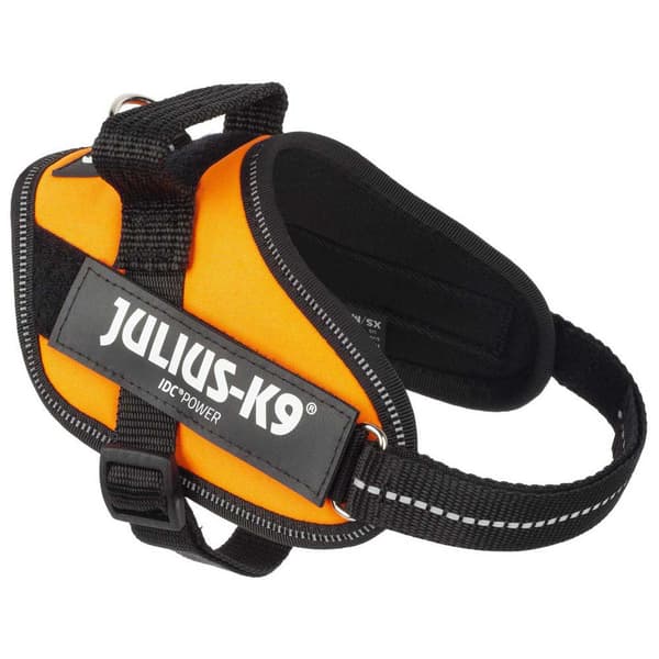 Julius K-9 Seletøj Idc® Power Mini Gul Mini