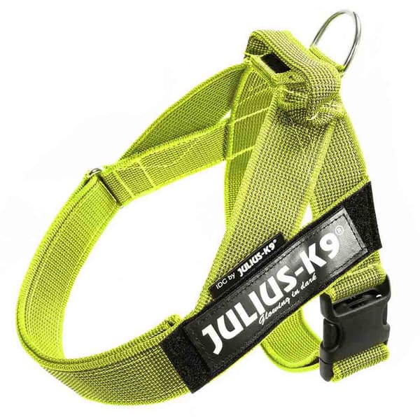 Julius K-9 Norsk Sele Idc Gul XL-2