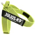 Miniatyrbild 4 av 5: Julius K-9 Norsk Sele Idc Gul XL-2