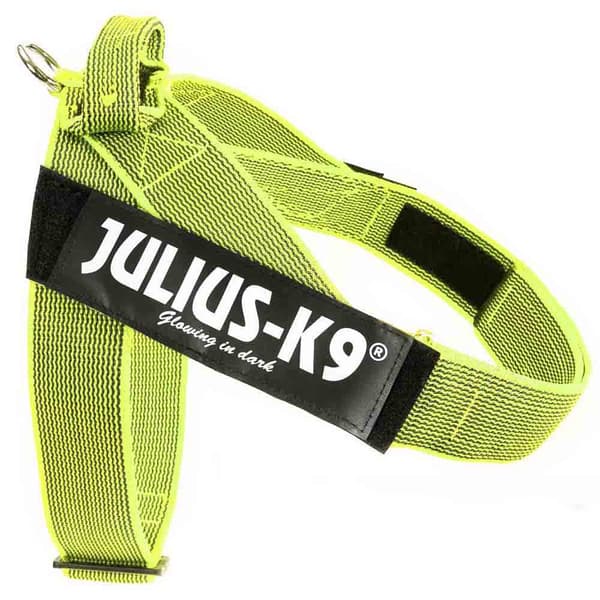 Julius K-9 Norsk Sele Idc Gul XL-2