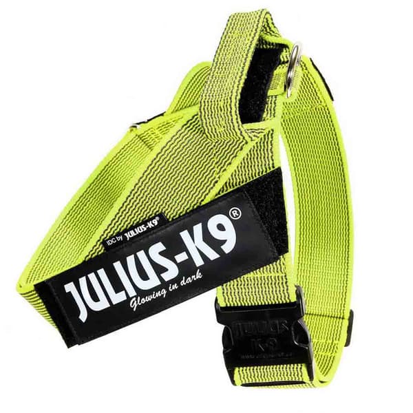 Julius K-9 Norsk Sele Idc Gul XL-2