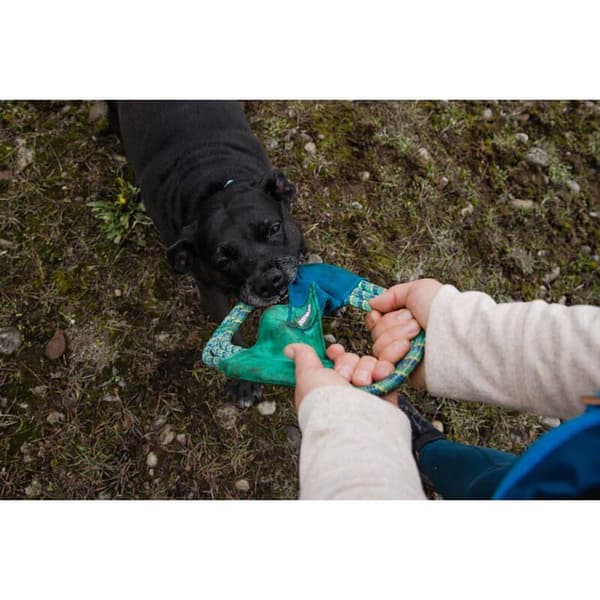 Ruffwear Pacific Ring™ Monivärinen