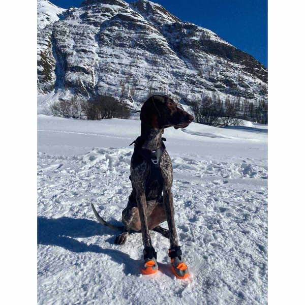 I-dog Sko Khan Pad N´polar Orange 50 mm