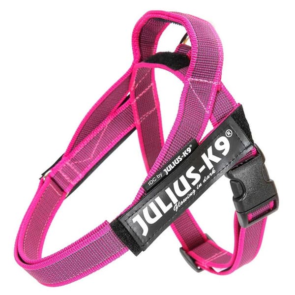 Julius K-9 Norsk Seletøj Idc Blå 2XL-3