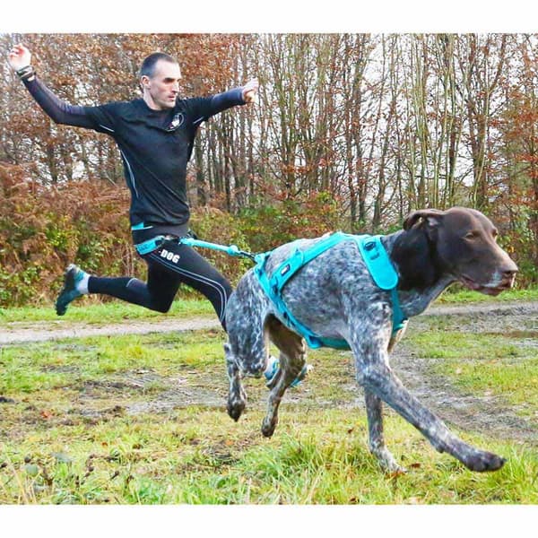 I-dog Hihna Canicross Opale Small Dog Sininen 190 cm
