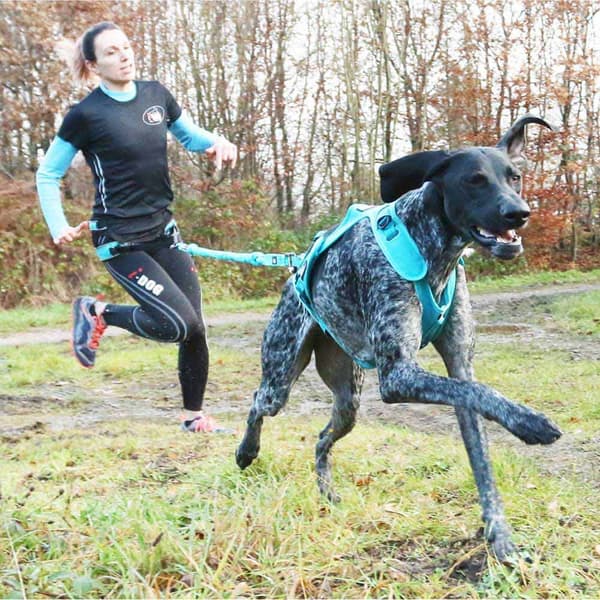 I-dog Hihna Canicross Opale Small Dog Sininen 190 cm