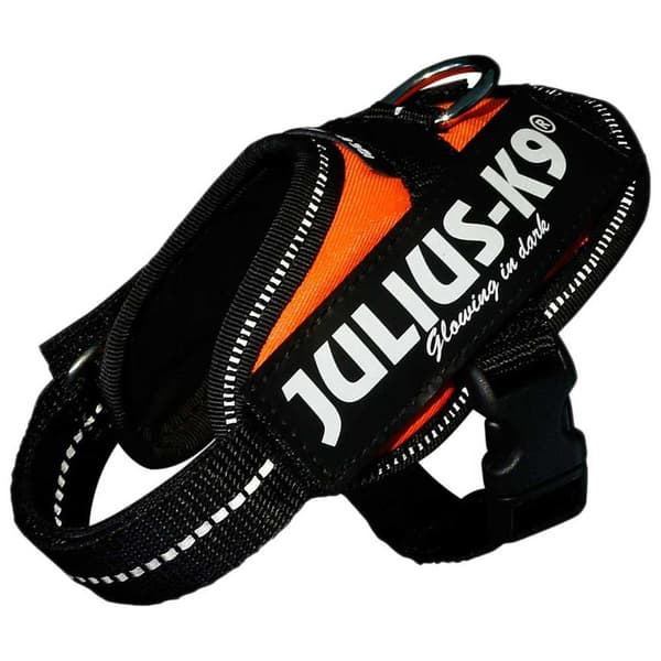 Julius K-9 Sele Idc® Power Orange XL-2