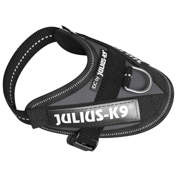 Julius K-9 Valjaat Idc® Power Harmaa L-1