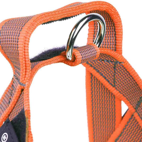 Julius K-9 Norsk Seletøj Idc Orange XL-2