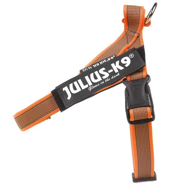 Julius K-9 Norsk Seletøj Idc Orange XL-2