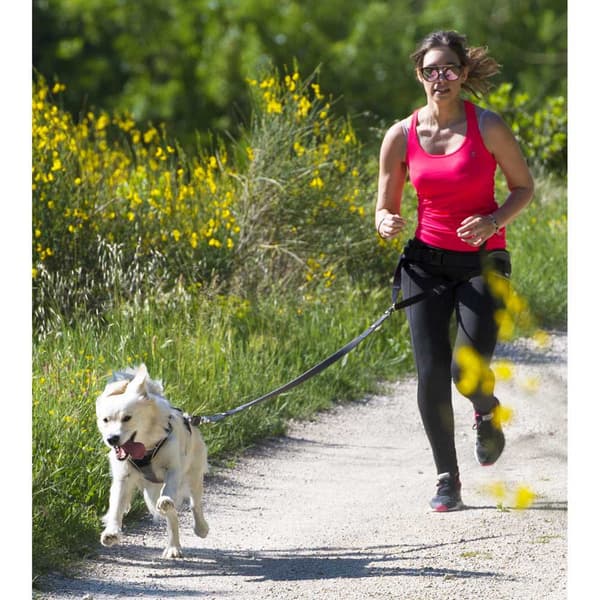 I-dog Sele Style Svart XL