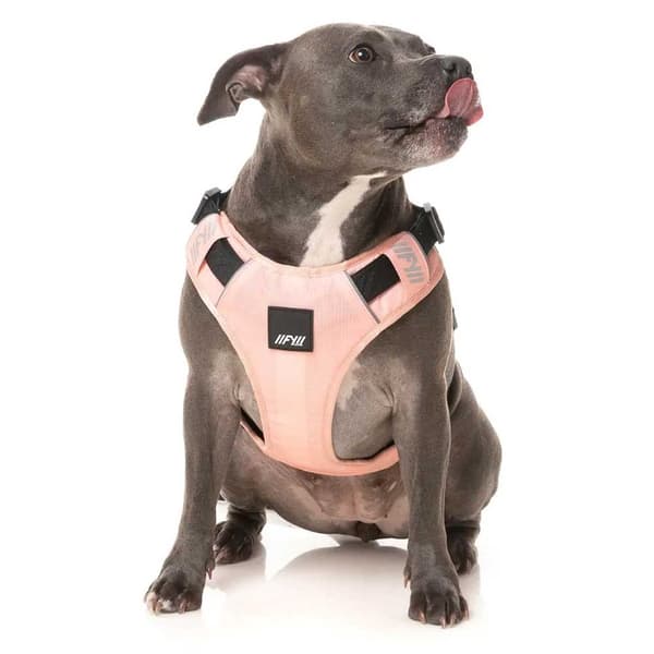 Fuzzyard Active Sele Go Rosa M