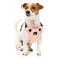 Miniatyrbild 5 av 5: Fuzzyard Active Sele Go Rosa M