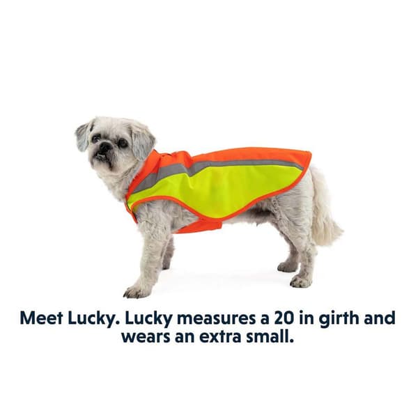 Ruffwear Hundejakke Lumenglow Hi-viz Orange XL