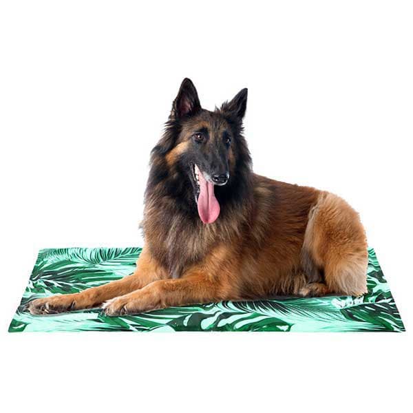 Freedog Kølemåtte Cool Bed 110x70 Cm Grøn