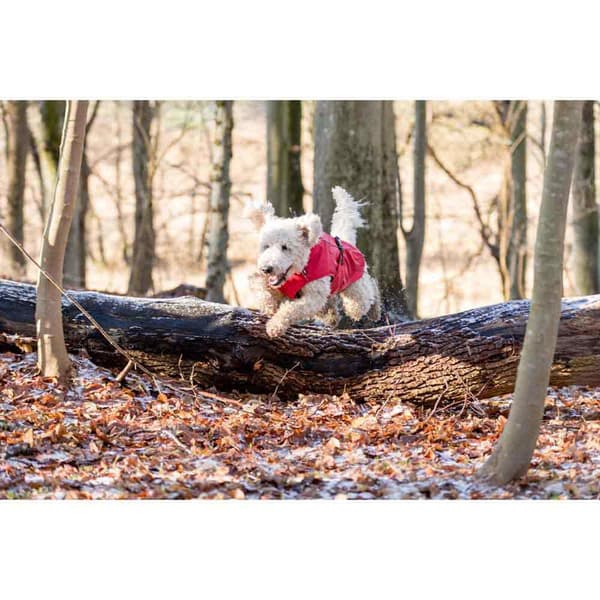 Trixie Hundjacka Vimy Röd 40 cm
