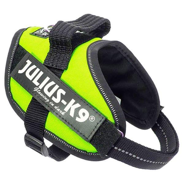 Julius K-9 Seletøj Idc Mini Grøn Mini-Mini
