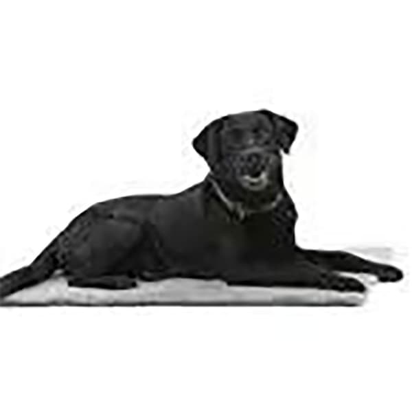 Kruuse Hundeseng Vet Bed Anti-slip 71x61 cm