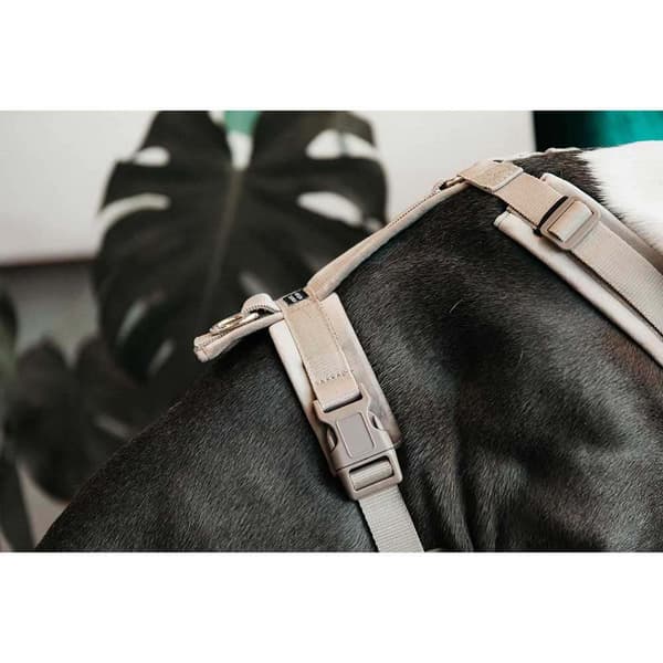 Kentucky Fløjlssele Active  48-70 cm