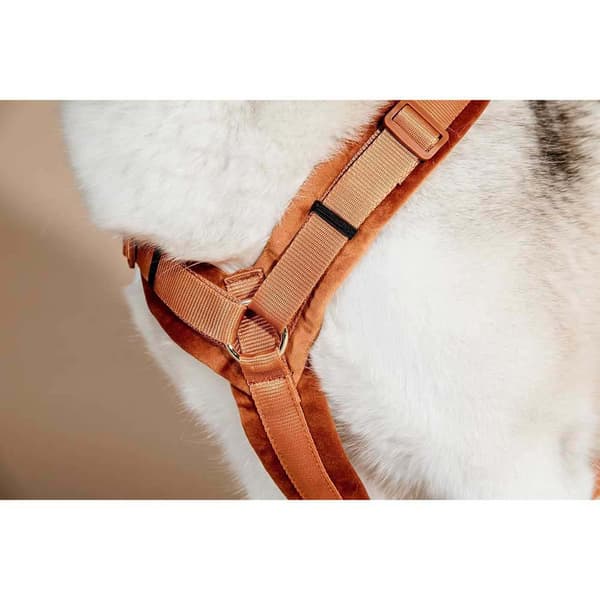Kentucky Velvet Valjaat Active  48-70 cm