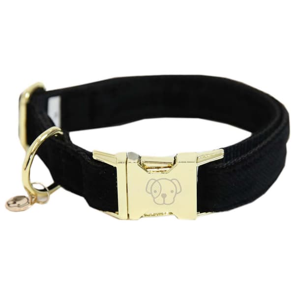 Kentucky Manchesterkrage  25-38 cm