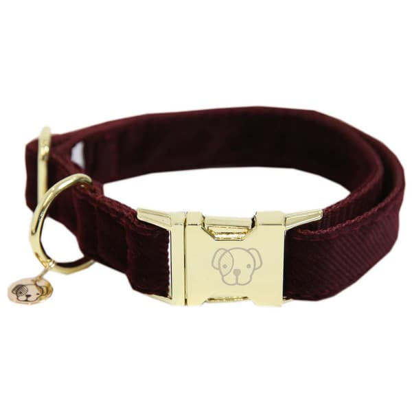 Kentucky Vakosametti Kaulus  45-75 cm
