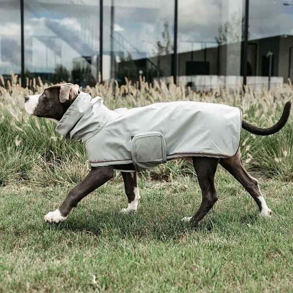 Kentucky Hunde Regnfrakke  34-38 cm
