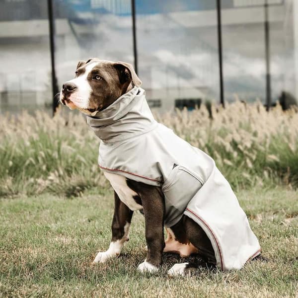 Kentucky Hunde Regnfrakke  34-38 cm
