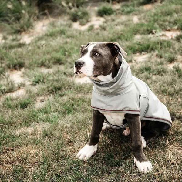 Kentucky Hunde Regnfrakke  34-38 cm