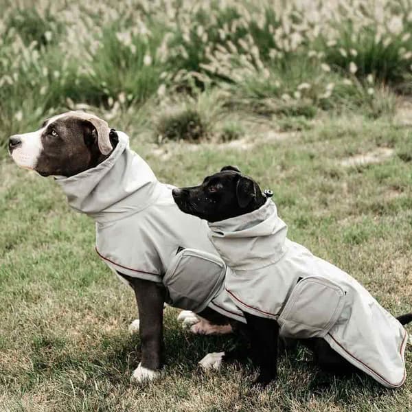 Kentucky Hunde Regnfrakke  34-38 cm