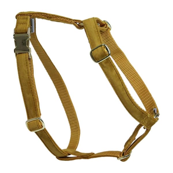 Kentucky Sammetssele Loop  75-100 cm