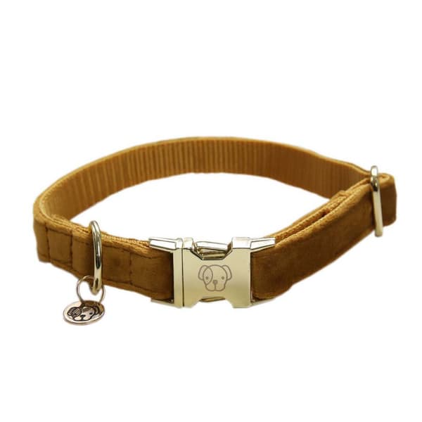 Kentucky Fløjlskrave  18-26 cm