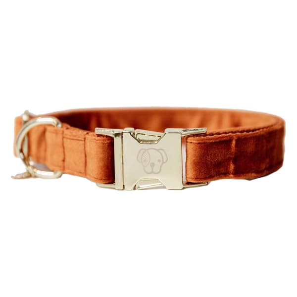 Kentucky Fløjlskrave  28-40 cm