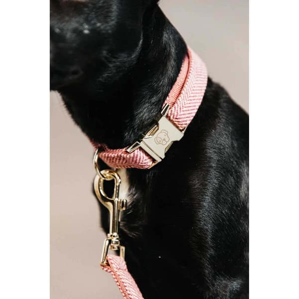 Kentucky Uld Krave  42-68 cm