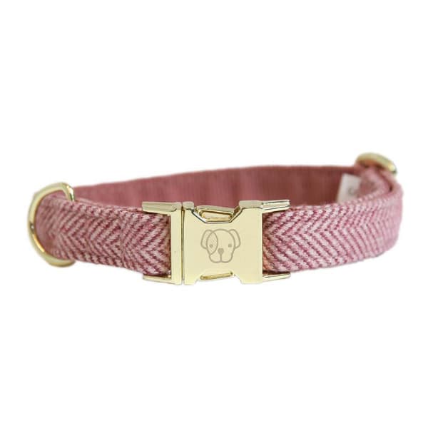 Kentucky Ullkrage  36-52 cm
